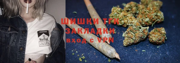 тгк Арсеньев