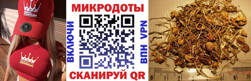 Галлюциногенные грибы Cubensis Оханск