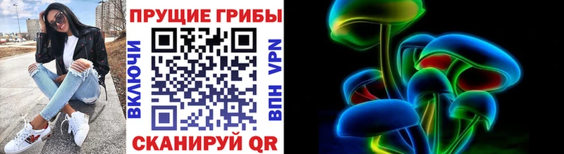 купить наркоту  Оханск  Псилоцибиновые грибы Psilocybe 